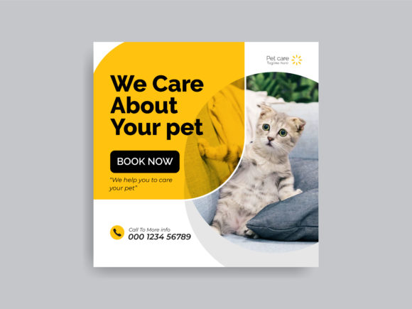 Stop Scrolling: How to Create Stunning Pet Care Posts